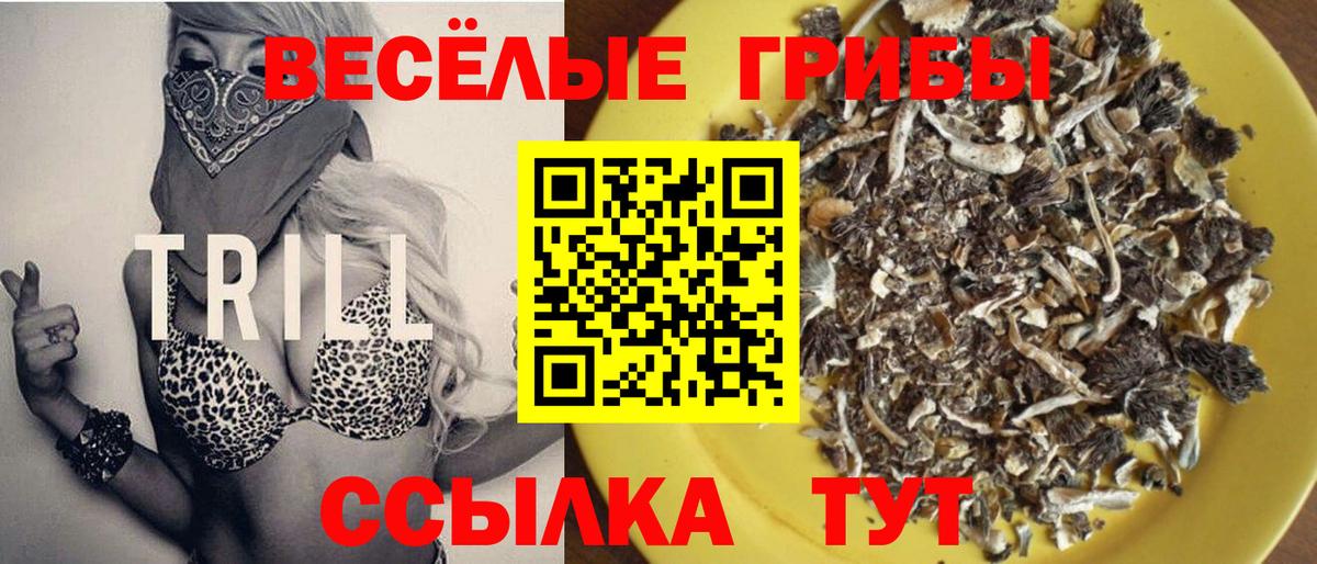 Ишим  Псилоцибиновые грибы мицелий  Вход с VPN 